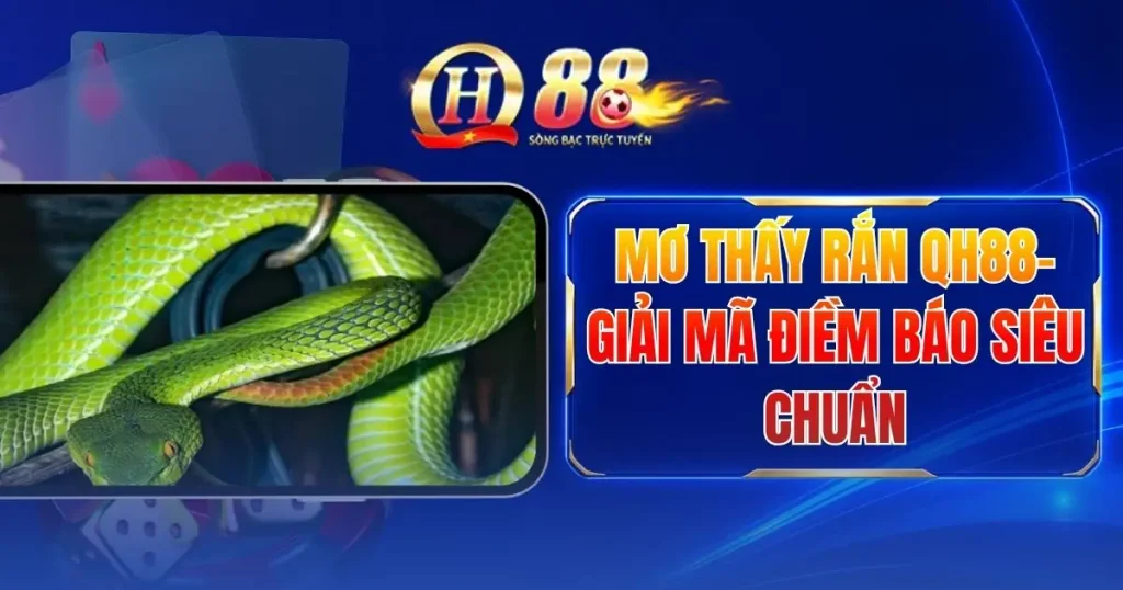 mo-thay-ran-qh88-giai-ma-diem-bao-sieu-chuan
